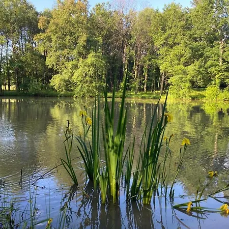 Peaceful In Feriehus